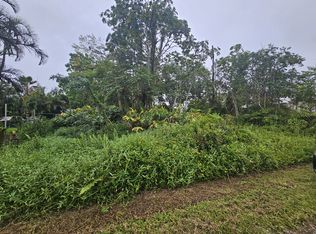 Bamboo Dr LOT 20, Pahoa, HI 96778