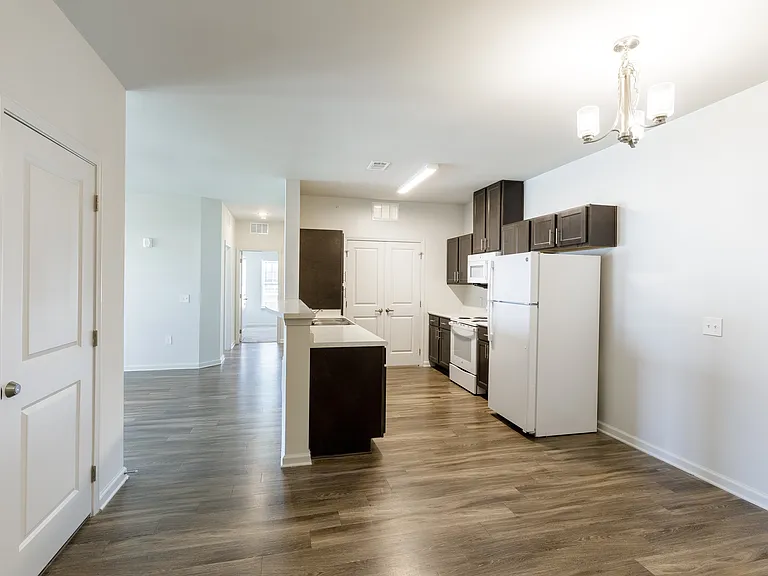 Cook, dine, and relax in this open-concept kitchen with modern finishes.