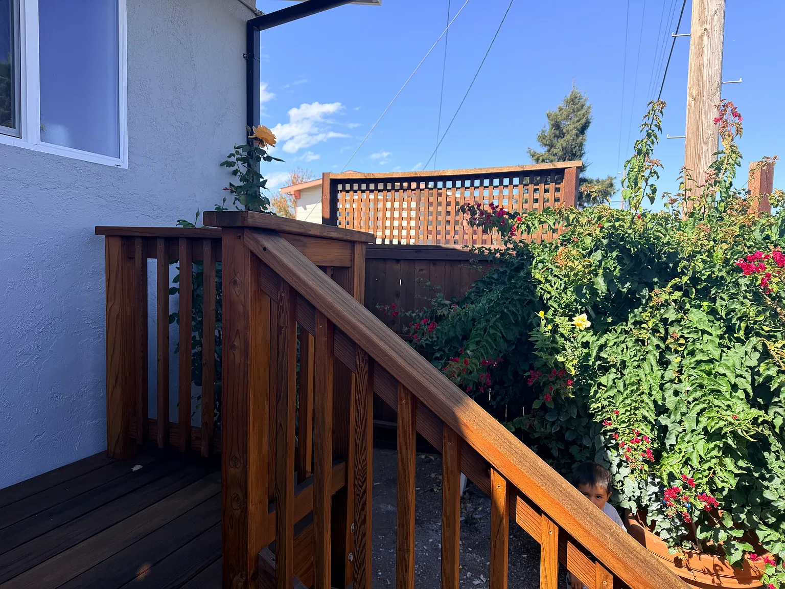 1 bed, $1,600 — Photo 2