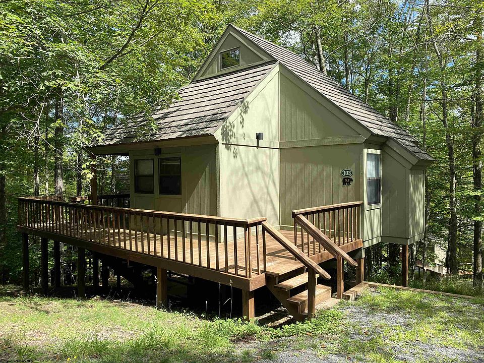 103 Grizzly Way, Davis, WV 26260 | Zillow