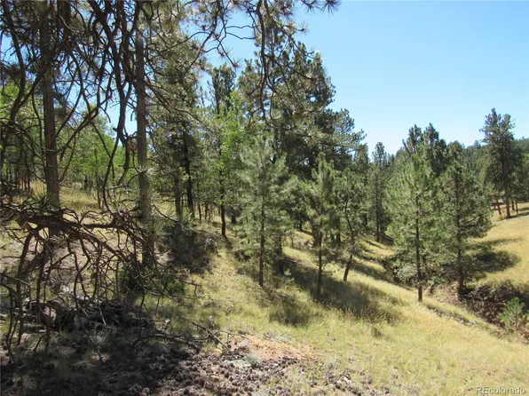 11845 Stallion Dr, Pine, CO 80470