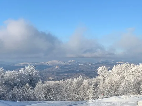 3310 Pinnacle Inn Rd, Beech Mountain, NC 28604