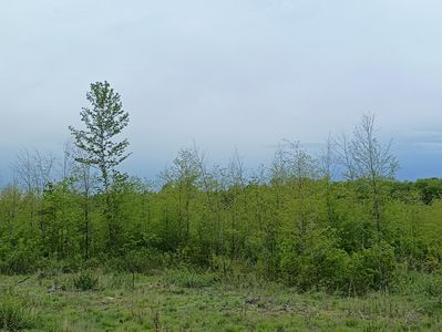 Ac Off, Butternut, WI, 54514