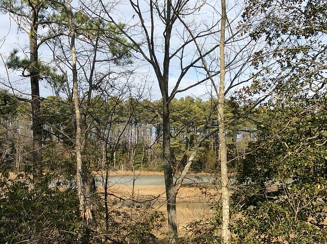 1st image of 413 Bull Creek Dr