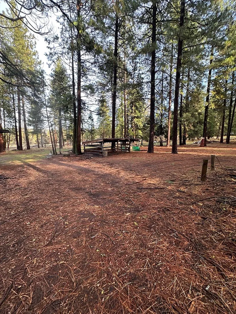 18515 Freight Rd Ln — Photo 3