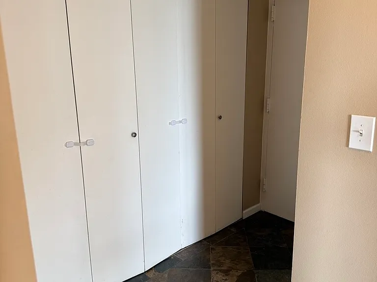 1355 N Sandburg Ter #1801D — Photo 13