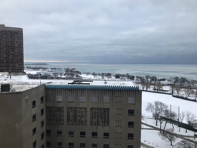 2800 N Lake Shore Dr #2209 — Photo 7