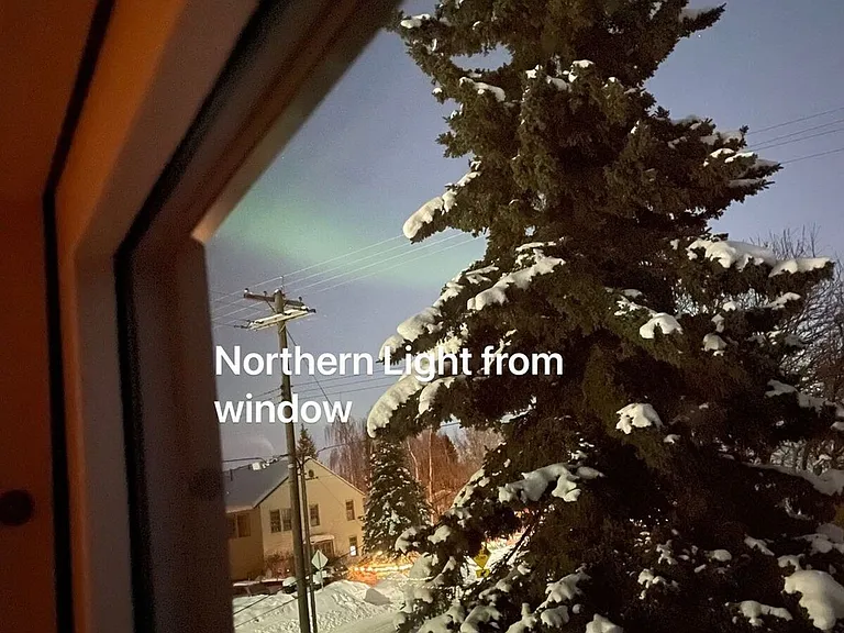 Window View