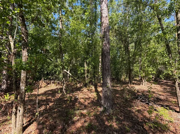 Se St #360, Mayo, FL 32066