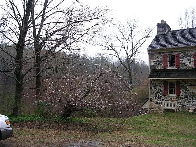 E Rose Tree Rd — Photo 39