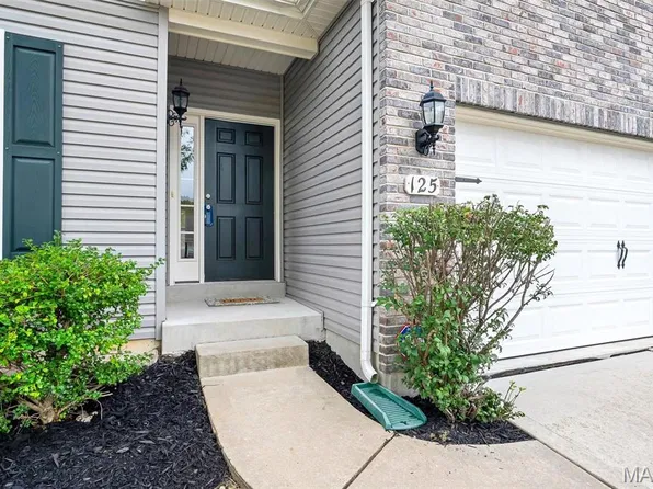 125 San Marino Pkwy, Fenton, MO 63026