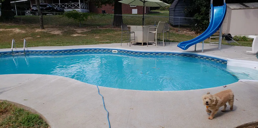 Property photo 4