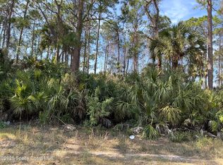 1030 Happiness Ave SW, Palm Bay, FL 32908