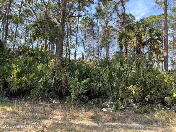 1030 Happiness Ave SW, Palm Bay, FL 32908