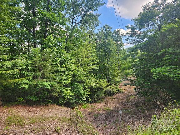 3rd image of 0 Hickory Nut Ln Lot 390