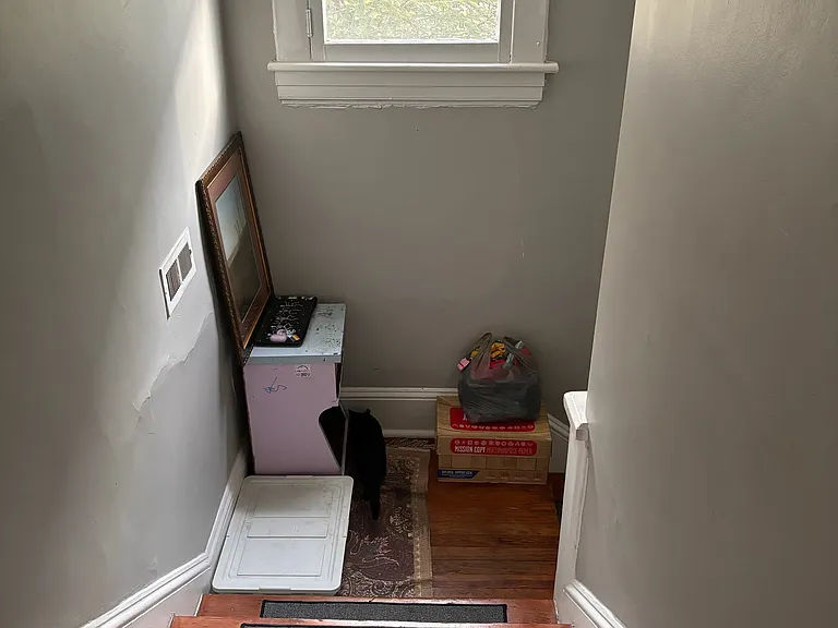 Stairs w/ New Designer Paint.