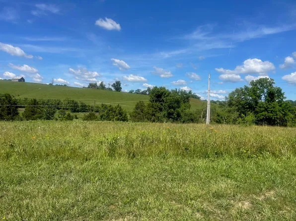 Lynn Ln, Falmouth, KY 41040