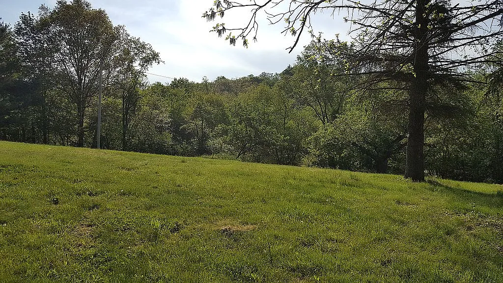 4924 Arnold Ave photo 1