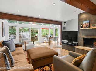 100 N 8th St Unit 19, Aspen, CO 81611