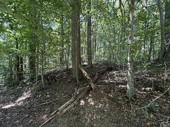 4th image of Jimmy Reneau Rd
