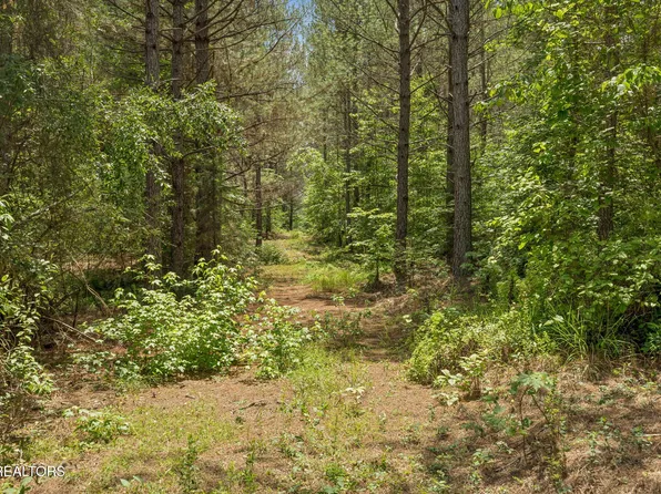 Nydeck Trl Tract 3, Robbins, TN 37852