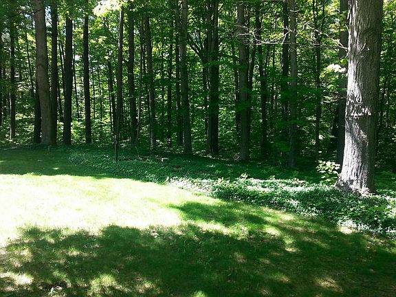 4th image of 8758 Eight Mile Rd