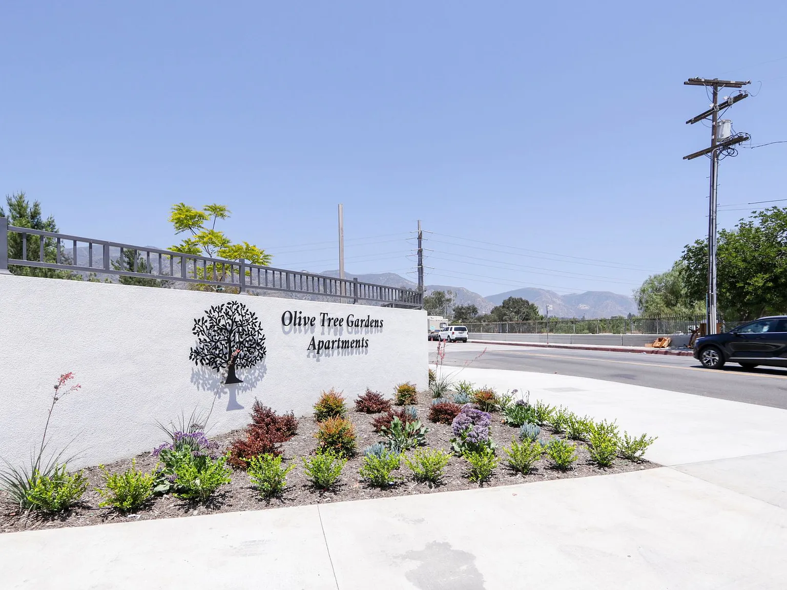 Olive Tree Gardens Apartments — Photo 3