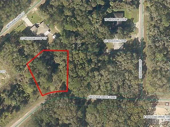 Sequoia Drive Crse Lot 10, Ocklawaha, FL 32179