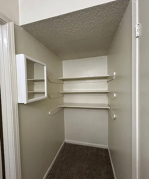 1806 S Brightside View Dr — Photo 2