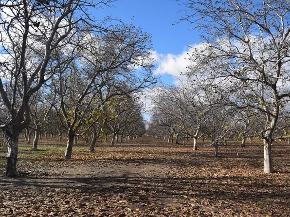 35503 S Welty Rd, Vernalis, CA 95385