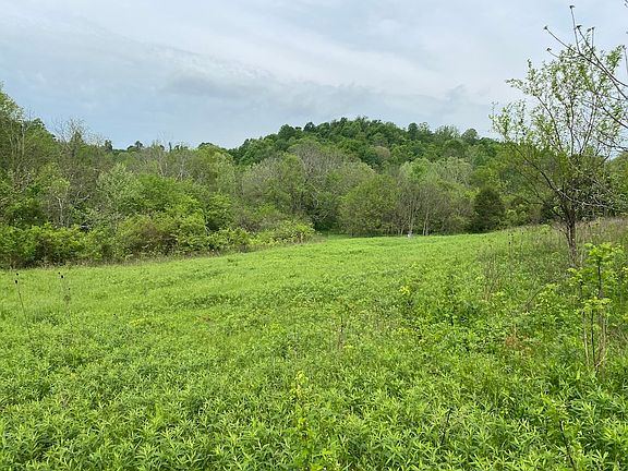 The lower bottom field near the creek along the south boundary