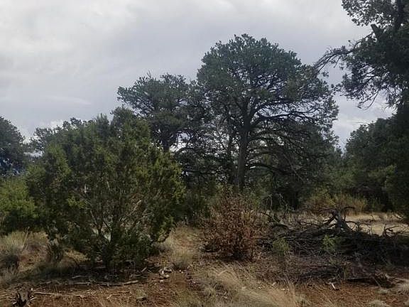 5th image of 7147 N Sycamore Dr