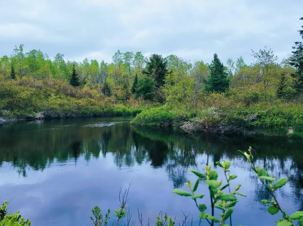 Lot 46 Lane Road, Cherryfield, ME 04622