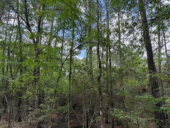 2nd image of 0 Gum Tree Ln