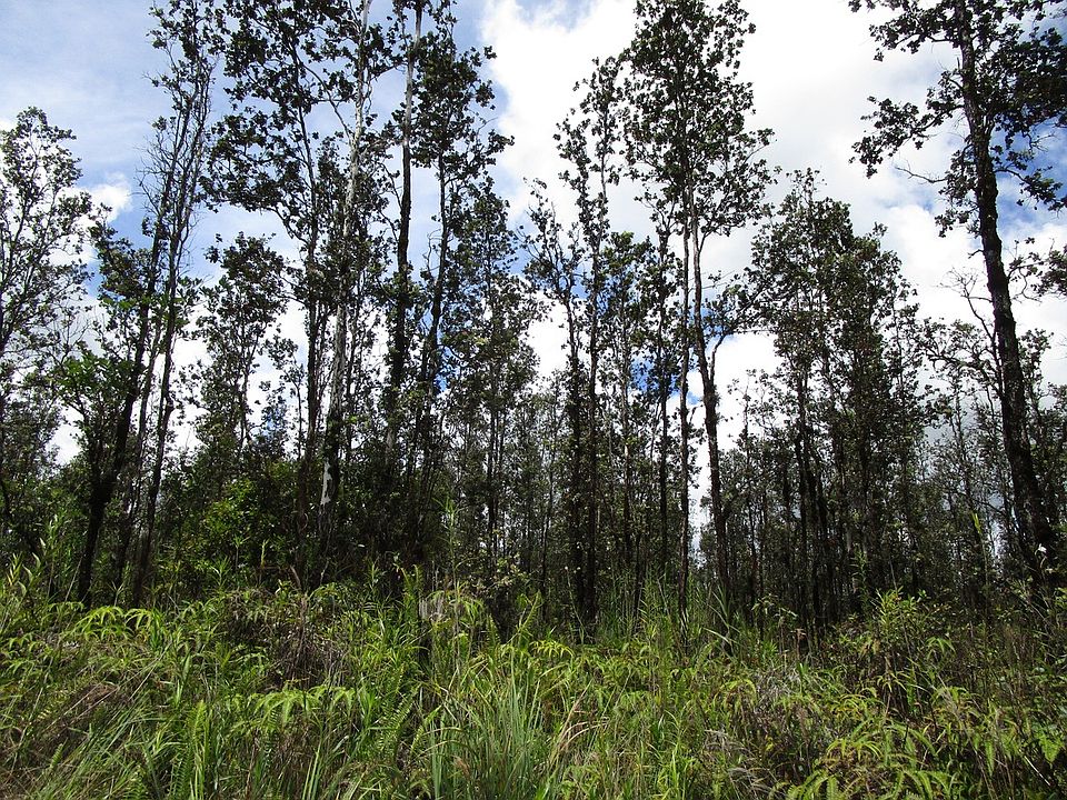 2nd image of Road 7 Opeapea Lot 4633