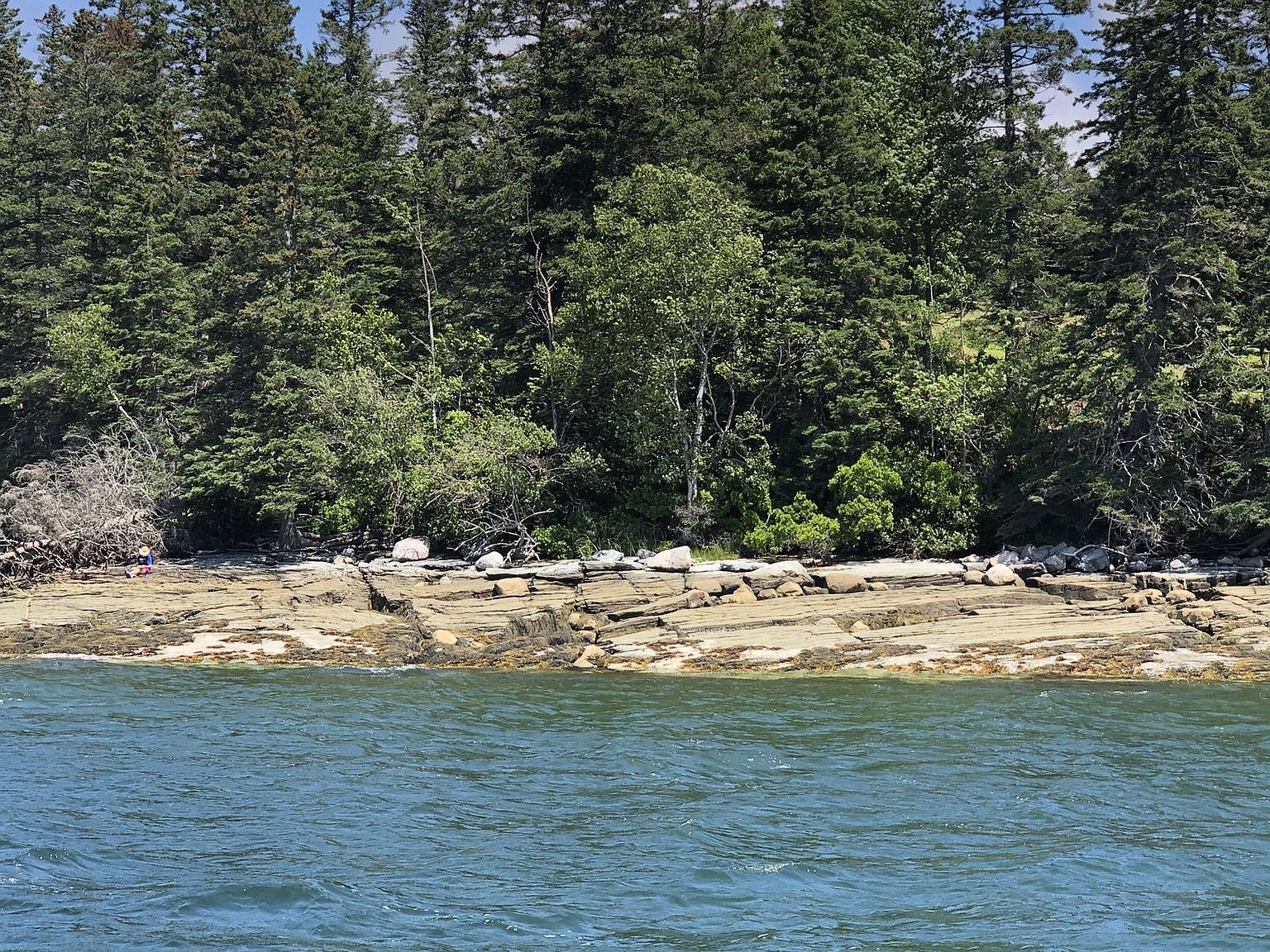 75 Old Cove Ln, Brooklin, ME 04616 Zillow