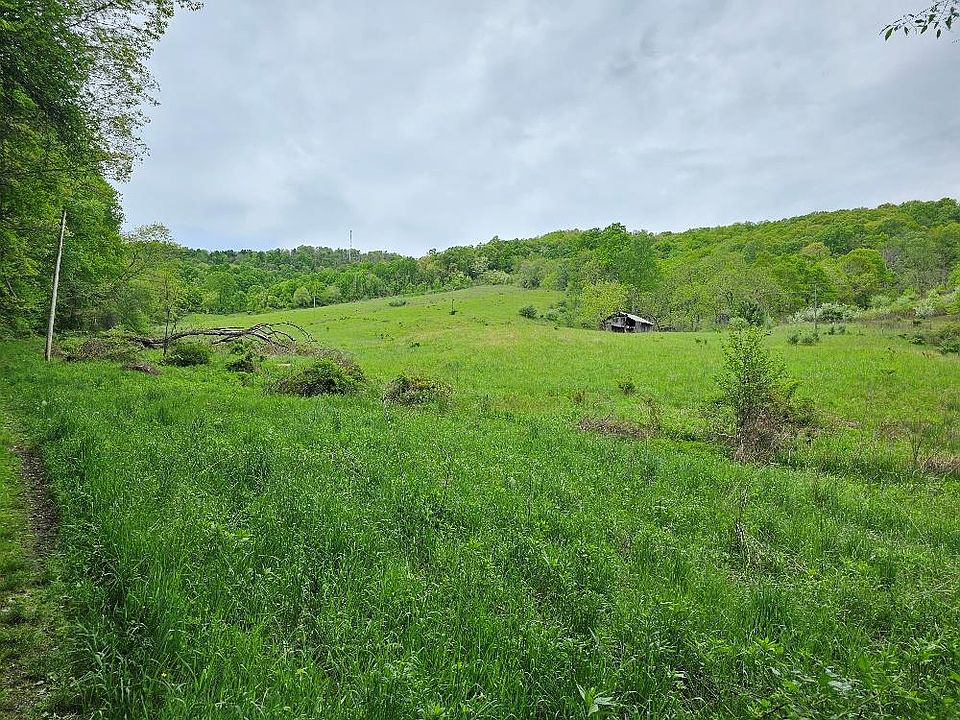 67A94 Bear Branch Rd, Mouth Of Wilson, VA 24363 Zillow
