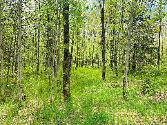 5th image of 0 Deer lake Road