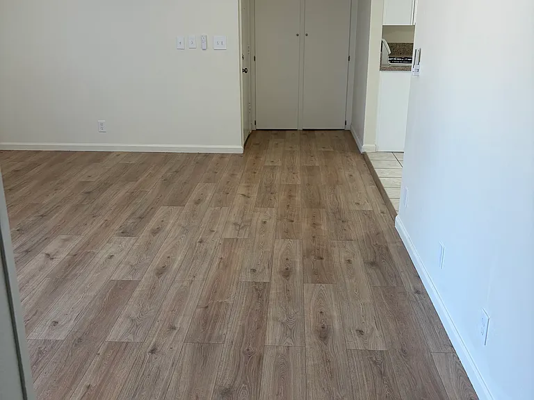 Entry and partial Living Room
