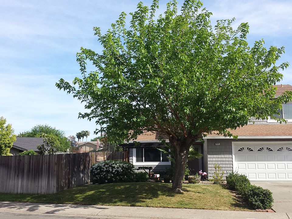 2nd image of 6848 Mellodora Dr
