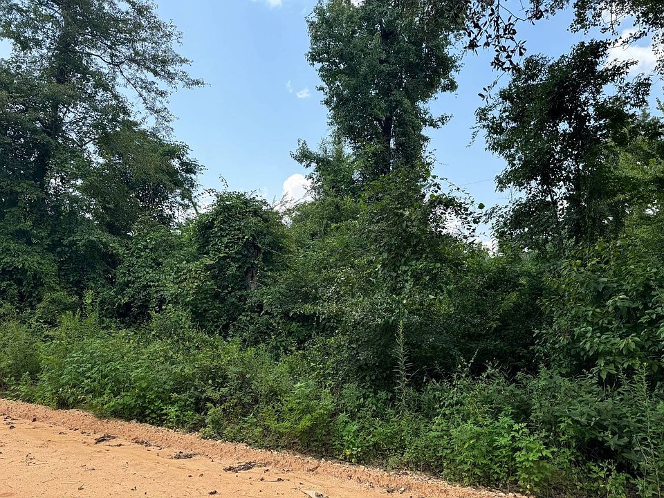 2nd image of 0 Lovewood Rd