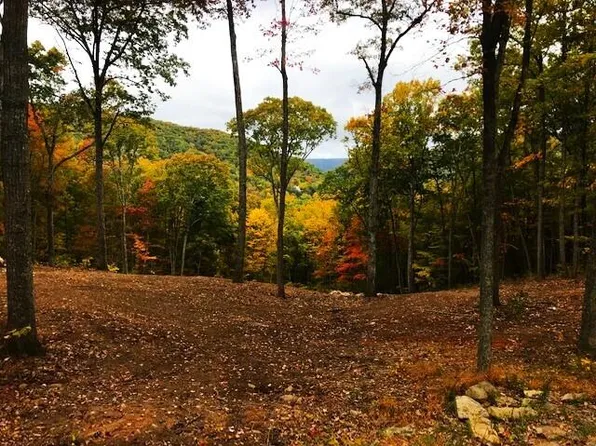 Drive North Forest Trl Lot 60, Hot Springs, VA 24445