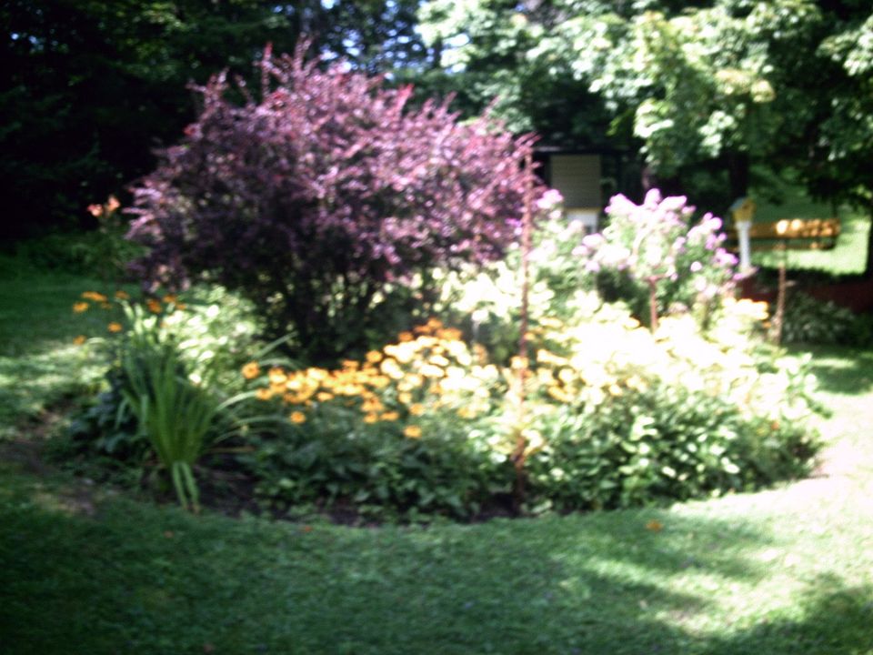Professional Landscaping