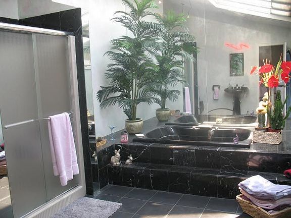 Master Bath/Marble Jacuzzi