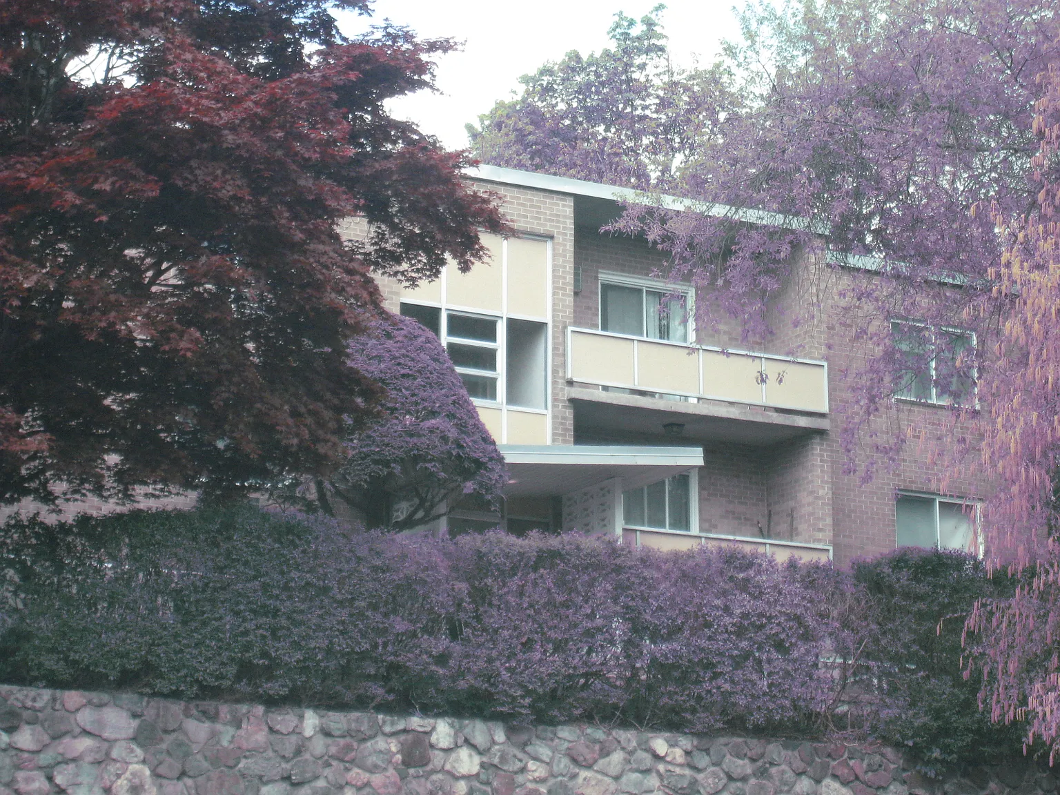 2 bed, 780 sqft, $2,400 — Photo 3