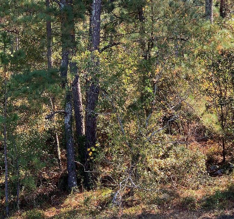 2nd image of 4405 Deans Bridge Rd
