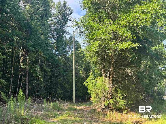 4th image of 9050 Rice Creek Rd
