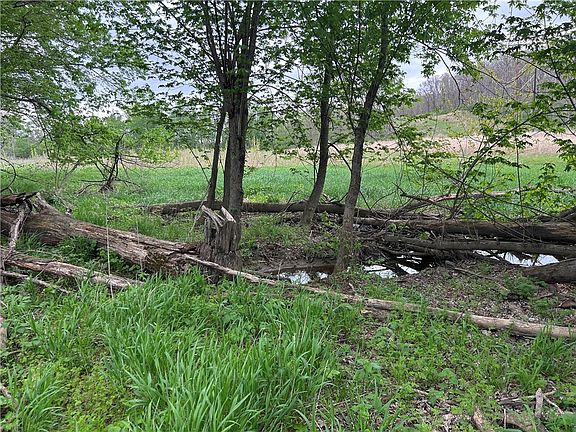 5th image of County Line Rd