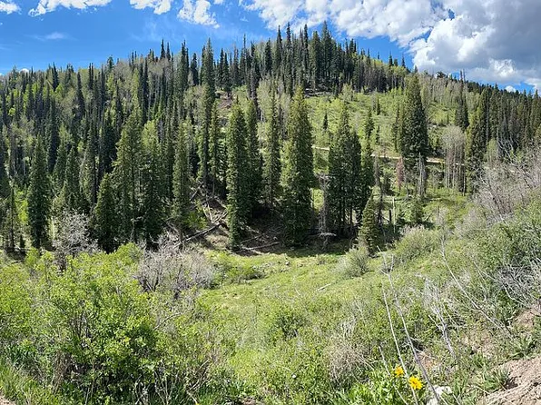 2183 S Forest Meadow Rd, Coalville, UT 84017