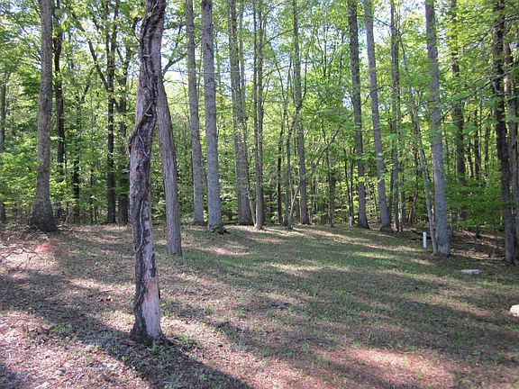 3rd image of Little Creek Rd Lot 9